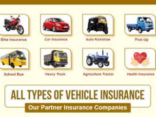 Motor Insurance